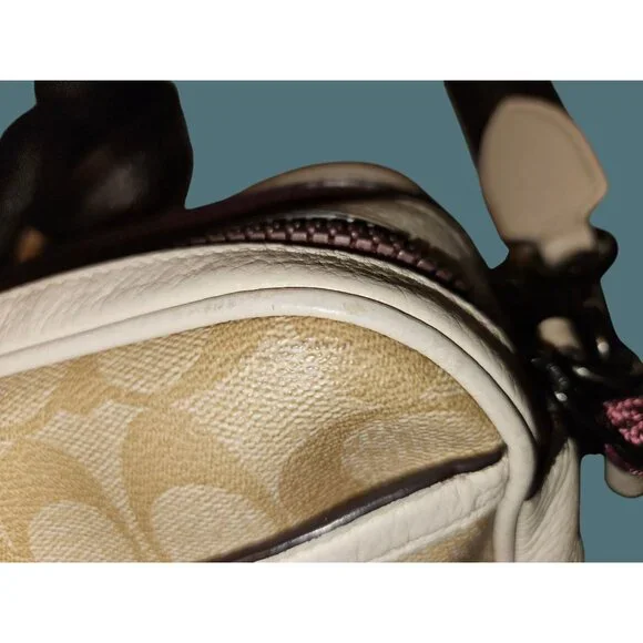 Coach x Guang Yu Vale Jes Signature Canvas Bag Crossbody Rexy Graffiti Art - Picture 12 of 16